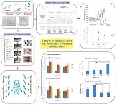 Ijms Special Issue Zebrafish A Model For Toxicological