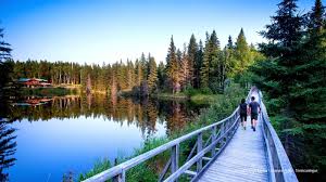 Abitibi Temiscamingue Le Quebec Nature Et Sauvage Parcours Canada
