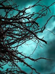 1920x1200 cool pictures for backgrounds hd 1080p 11 hd wallpapers | lzamgs. 84 918 Cool Wallpaper Photos Free Royalty Free Stock Photos From Dreamstime