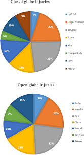 Pie Chart Showing Mode Of Injury Among Closed And Open Globe