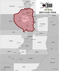 This is because we believe that this allows us to provide the best possible services to the. Black Widow Pest Control Inc 7321 Heywood Dr West Jordan Ut Pest Control Mapquest
