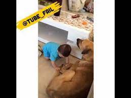Cute Baby And Dog Bite Video Youtube
