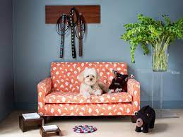 Check spelling or type a new query. Pet Friendly Home Ideas For Pet Friendly Decorating And Design Hgtv