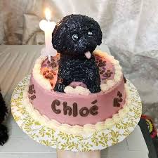 We did not find results for: 5 Shops Where You Can Order Cakes For Your Pets Philippine Primer