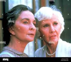 Barbara dorn -Fotos und -Bildmaterial in hoher Auflösung