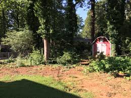 New york yard clean up and backyard clearing. Bidding A Heavy Backyard Clean Up Pics Lawnsite Is The Largest And Most Active Online Forum Serving Green Industry Professionals