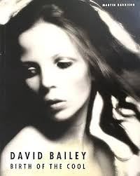 David Bailey, Photograph