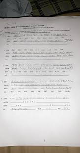 Check spelling or type a new query. Answered Module 11b Transcription And Bartleby