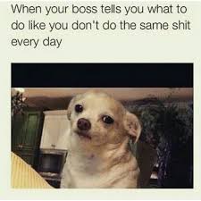 My Boss Told Me To Have A Good Day Meme When Your Boss Tells You What To Do Like You Don T Do The Same Shit Everyday Sibling Memes Memes Work Memes