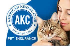 We did not find results for: Akc Pet Insurance Review Revuezzle