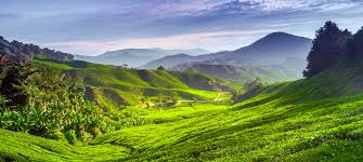These ten hidden gems in malaysia certainly are not tourist attractions and you will really feel like you are seeing the authentic, breathtaking country. Hidden Gems The Most Underrated Malaysian Destinations Holiday Architects Holiday Architects