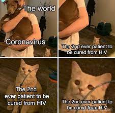 Sourced from reddit, twitter, and beyond! 40 Of The Funniest Coronavirus Jokes To Lift Up Your Spirits During Self Isolation New Pics Bored Panda