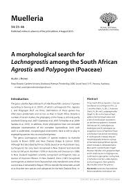 Image result for Agrostis quinqueseta