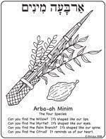 Lulav and etrog sets for sale. Blog Archive The Sukkot 4 Species Printable Coloring Page Sukkot Sukkot Crafts Sukkot Activities