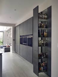 Unfamiliar Retro Kitchen Pantry Cabinet Just On Homesable Com Modern Kitchen Design Kitchen Pantry Design Kitchen Room Design