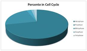 Cell Division Lab Emilies Phantastic Labs