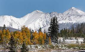 It had snowed right before we arrived in colorado for our vacation, so it was unfortunately too cold and we saw quite a few elk and some wild turkeys. In The Poem Always Somewhere An Ode To Snow Capped Rocky Mountains Colorado Public Radio
