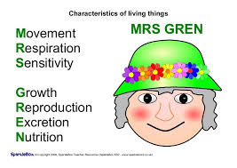 Mrs Gren Characteristics Of Living Things Biology Lessons Learn Biology