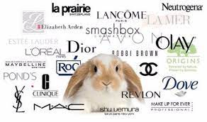 We did not find results for: Which Makeup Companies Do Or Don T Test On Animals