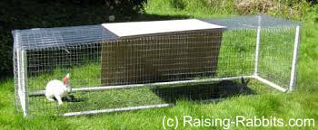 We just got 4 california rabbits so i had to make a hutch and this is what i came up with, hope you all enjoy and any advice you have for me about raising ra. Rabbit Run How To Build An Outdoor Rabbit Pen Or Run With Pvc