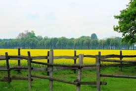 Split rail fences are as much a part of american history and culture as barn houses and green lawns. Fencing The Fence Landscape Free Photo On Pixabay