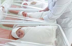 Elemen hiasan ini membolehkan anda menyentuh dunia hidupan liar di bandar, menjadikan bilik itu lebih meriah dan mengisi dengan sihir. Waspadai Kuning Pada Bayi Baru Lahir Selama 24 Jam