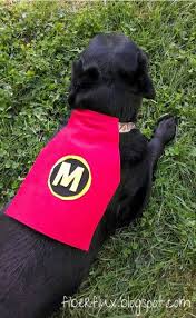 Make This Superhero Dog Cape For Your Four Legged Friend A Fast And Easy No Sew Project Dog Costumes Pet Costumes Dog Hero