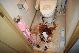 The site owner hides the web page description. åè¡€ç¾å ´ã¯æ„å¤–ã¨æ€–ã„ ãƒ—ãƒ­ãŒå®Ÿä¾‹ã§æ•™ãˆã‚‹åè¡€æ¸…æŽƒã¨æ¶ˆæ¯'