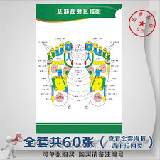 Buy Foot Reflex Zone Flipchart Human Body Acupuncture Points