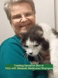 🛁 𝗧𝗵𝗲 𝗥𝗶𝗴𝗵𝘁 𝗪𝗮𝘆 𝘁𝗼 𝗕𝗮𝘁𝗵𝗲 𝗬𝗼𝘂𝗿 𝗣𝗲𝘁 𝘄𝗶𝘁𝗵  𝗠𝗮𝗹𝗮𝘀𝗲𝗯 🐶✨ Dr. Heather walks you through how to properly use  Malaseb shampoo for pets with skin conditions like dermatitis. From  brushing to the essential ...