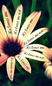 Divine Betrothal He Loves Me He Loves Me Not Does He Love Me He Loves Me My Love