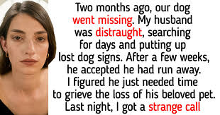 Our Dog Didn't Run Away — My Husband's Long-Term Dark Secret Exposed