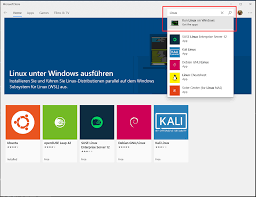 How To Setup Wsl Bash On Ubuntu Biogui Documentation