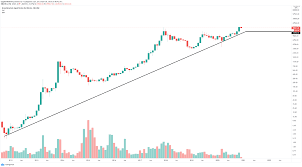 Reports that bitcoin is due for a price correction, including from coindesk's omkar godbole, suggest the bitcoin market might be slowing, with some analysts predicting prices as low as $40k. Bitcoin Price Correction Is Not Over Suggests On Chain Metrics Btc Bears Target 13 000 Forex Crunch
