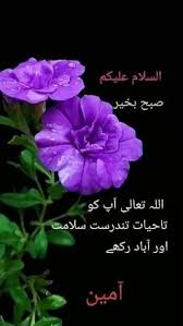 Image result for tbn:fWFGfe7mxNEQKM::www.feamman.com/wallpapers/Img-82755.jpg