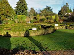 Maybe you would like to learn more about one of these? Rodney Gardens Perth 2021 All You Need To Know Before You Go With Photos Tripadvisor