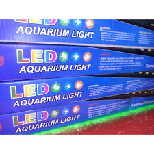 Aquarium Aquascape Lampu Led Celup Yamano Led 40 Cm T4 4 Watt Biru Putih Shopee Indonesia