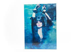 Check spelling or type a new query. Elvira Mistress Of The Dark Jigsaw Puzzle 1000 Pieces Of Unpleasant Dreemz From Yours Cruelly Messed Up Puzzles