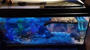 Led Lightning On A Turtle Tank Youtube