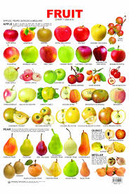 14 Fruit Chart 01 Jpg 1999 2999 English Vocabulary Fruit Learn English