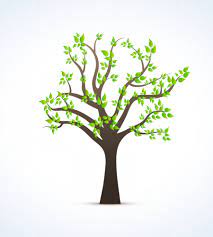 تصميم رسم شجرة مع اوراق خضراء ملف مفتوح tree drawing tree illustration nature vector