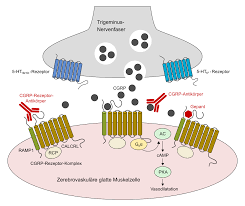 Image result for Gepant