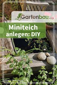 Miniteich Anlegen Sie Haben Keinen Garten Oder Terrasse Und Wollen Dennoch Einen Teich Anlegen Auf Ihrem Balkon Konnen Si Miniteich Miniteich Anlegen Garten
