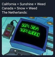 After a raleigh woman shared a photo of a car fire and abandoned vehicles on glenwood avenue, the internet took over, adding various attackers to the background. Me Irl R Bikinibottomtwitter Spongebob Squarepants Know Your Meme