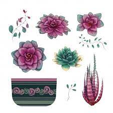 I wonder what color their flowers have if they are purple. Pin By Stella Camus On Vk Flower Art Planting Succulents Cacti And Succulents