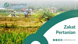 Zakat Pertanian Bersama Menebar Manfaat