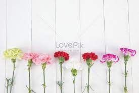 Mother S Day Carnation Background Carnations Summer Mother S Day Family Flowers Flowers Flowers Bouquet Mothers Day Mother S Day Background Carnations