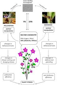 See more ideas about κέντημα, σταυροβελονιά, κεντήματα. Nectar In Plant Insect Mutualistic Relationships From Food Reward To Partner Manipulation Abstract Europe Pmc