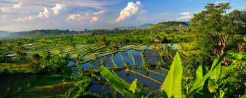 I am not sure how many times we have been to waterbom, but it never gets old. Indonesien Reisen Wissenswertes Zu Indonesien