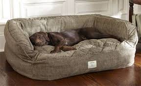 Lounger Deep Dish Dog Bed From Orvis I Know What The Pups Are Getting For Christmas This Year Kopek Yatagi Kopek Yataklari Kopek